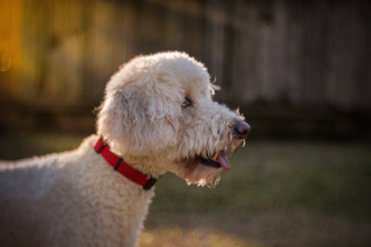 010139e89da0bbf01135e5ebaf3a46d207a7d973f3