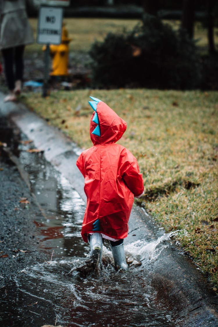 0147ba205ffe76bc13a07c8967dfcebf8b8bed6196