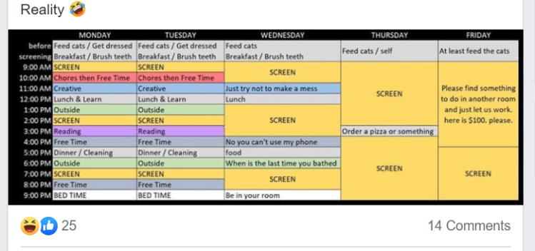 Updated COVID-19 Schedule for Reality